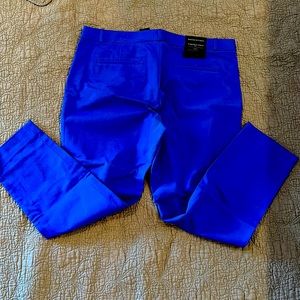 Banana Republic Sloan Blue Pant